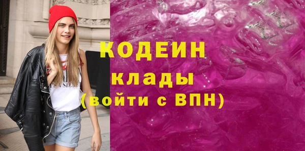 индика Кукмор