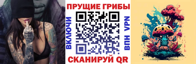 Галлюциногенные грибы GOLDEN TEACHER  цена наркотик  Окуловка 
